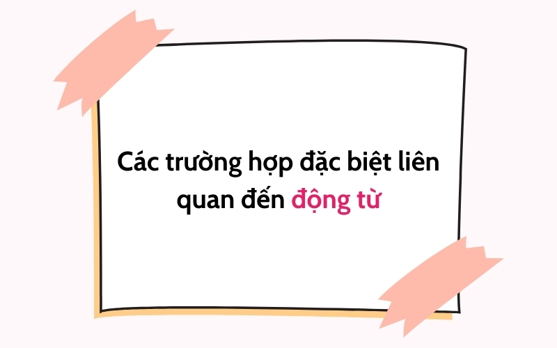 các trường hợp đặc biệt liên quan đến các động từ