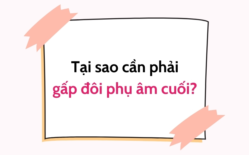 tại sao cần phải gấp đôi phụ âm cuối