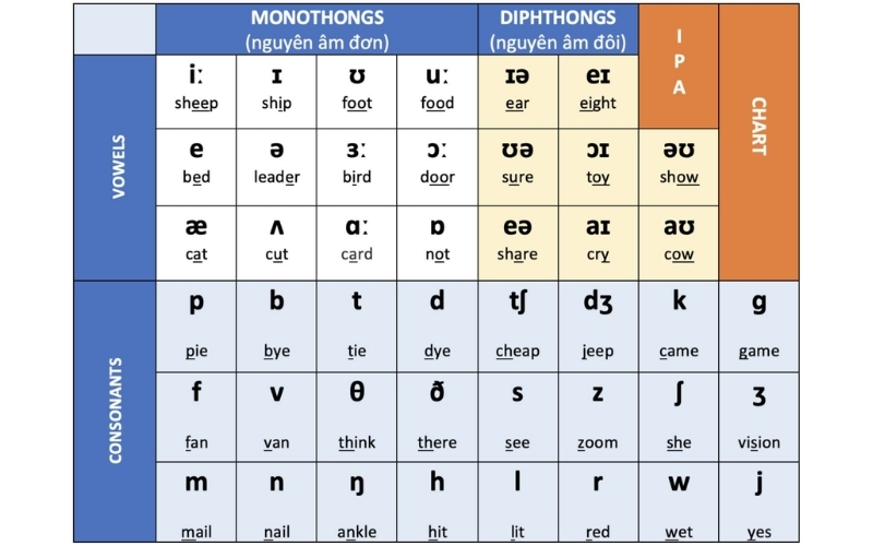 Học phát âm chuẩn cùng bảng phiên âm IPA