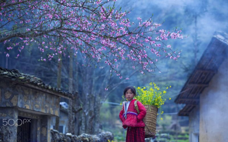 đi hà giang mùa xuân