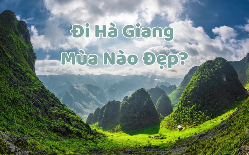 đi hà giang mùa nào đẹp nhất