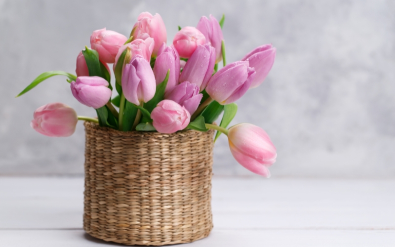 hoa tulip tặng người yêu