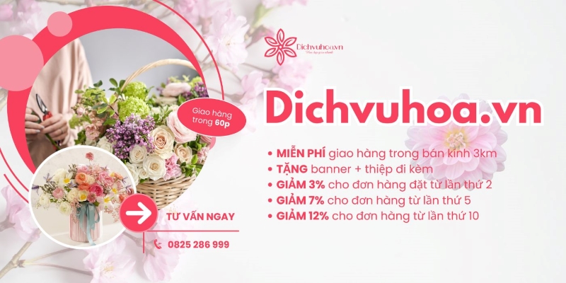 Cửa hàng hoa tươi DichVuHoa.Vn