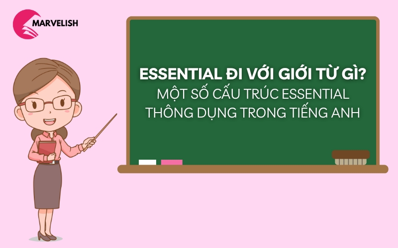 Essential đi với giới từ gì