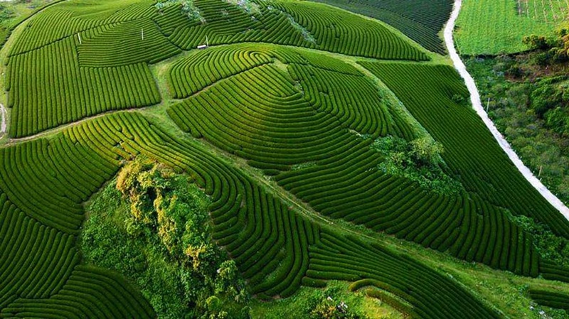 cung đường Mộc Châu – Sơn La – Sa Pa – Lai Châu