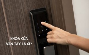 khóa cửa vân tay là gì