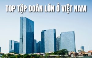 top tập đoàn lớn ở Việt Nam