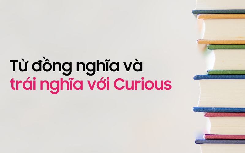 Một số từ đồng nghĩa và trái nghĩa với Curious