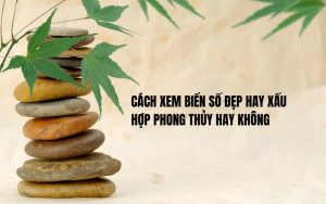 cách xem biển số xe đẹp hay xấu