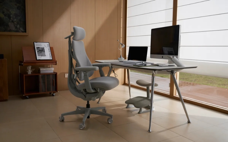 Ghế công thái học là gì