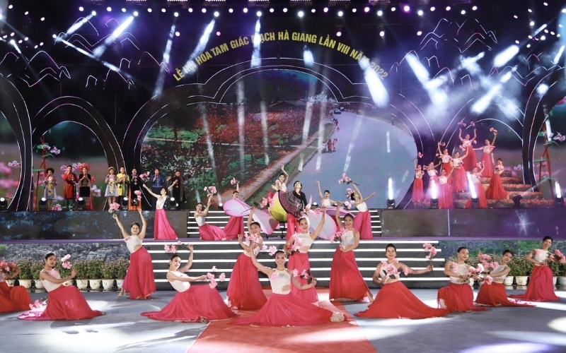 Lễ hội hoa tam giác mạch